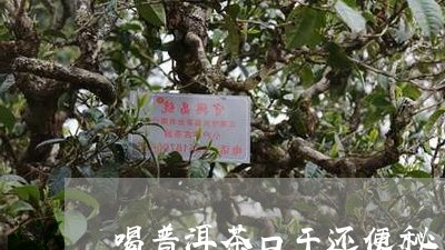 喝普洱茶口干还便秘/2023100615039