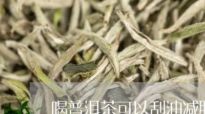 喝普洱茶可以刮油减肥/2023080129370