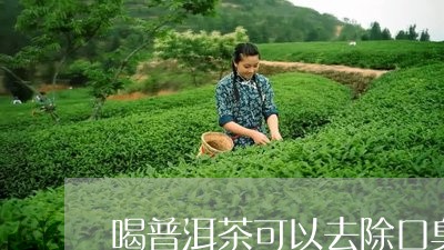 喝普洱茶可以去除口臭吗/2023122065137