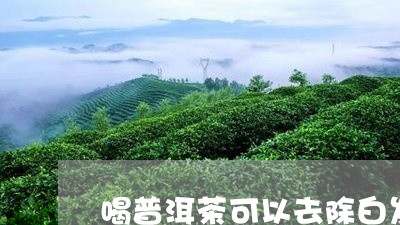 喝普洱茶可以去除白发吗/2023103112958