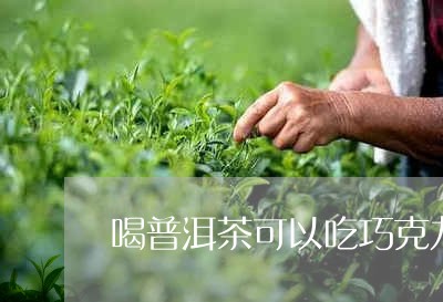 喝普洱茶可以吃巧克力嘛/2023122839490