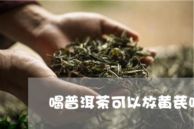 喝普洱茶可以放黄芪吗/2023073147383