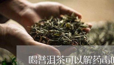 喝普洱茶可以解药毒吗/2023062423817