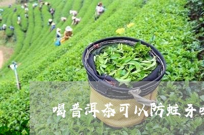 喝普洱茶可以防蛀牙吗/2023092851726