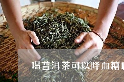 喝普洱茶可以降血糖嘛/2023120606059