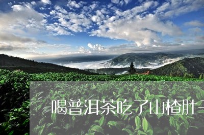 喝普洱茶吃了山楂肚子/2023100824283