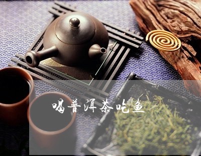 喝普洱茶吃鱼/2023042897170