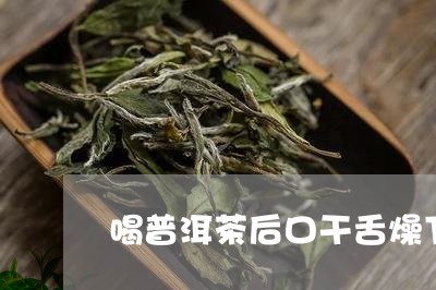 喝普洱茶后口干舌燥下关沱茶普洱/2023060259572