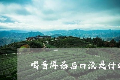 喝普洱茶后口淡是什么原因/2023051023847