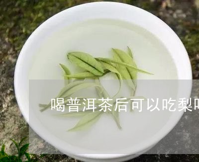 喝普洱茶后可以吃梨吗/2023061757483