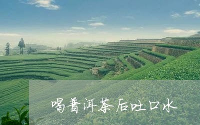 喝普洱茶后吐口水/2023082900380