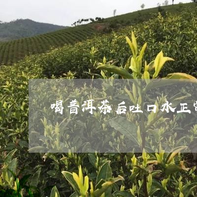 喝普洱茶后吐口水正常吗/2023102439561