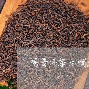 喝普洱茶后嘴发干发热/2023062883258