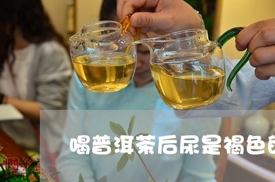 喝普洱茶后尿是褐色的/2023072449570