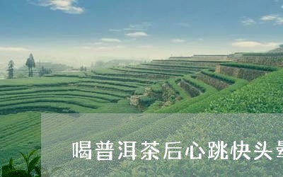 喝普洱茶后心跳快头晕/2023092958282