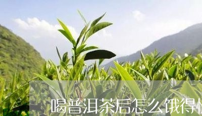 喝普洱茶后怎么饿得快呢/2023082461904