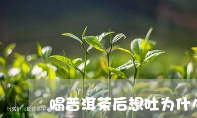 喝普洱茶后想吐为什么/2023062181904