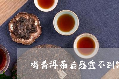 喝普洱茶后感觉不到饿/2023093025037