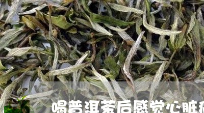 喝普洱茶后感觉心脏痛/2023062207360