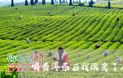 喝普洱茶后我改变了人生观/2023110263078