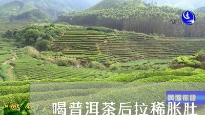 喝普洱茶后拉稀胀肚/2023042971503