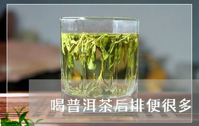 喝普洱茶后排便很多/2023121526274