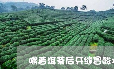 喝普洱茶后牙缝冒酸水/2023062106291