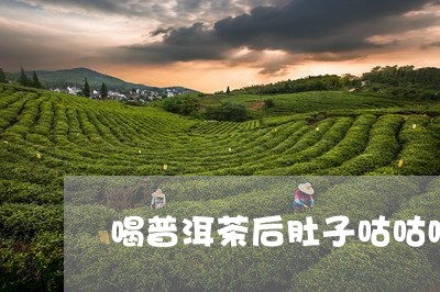 喝普洱茶后肚子咕咕响/2023061841845