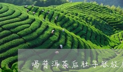 喝普洱茶后肚子胀放屁/2023062348179