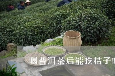 喝普洱茶后能吃桔子吗/2023072401405