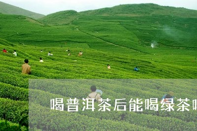 喝普洱茶后能喝绿茶吗/2023092889472