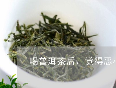 喝普洱茶后，觉得恶心/2023100556169