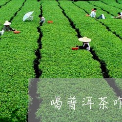 喝普洱茶咋洗茶啊好喝/2023110361703