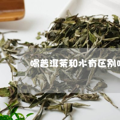 喝普洱茶和水有区别吗/2023092789613