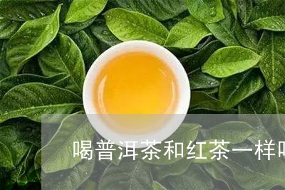 喝普洱茶和红茶一样吗/2023120672603