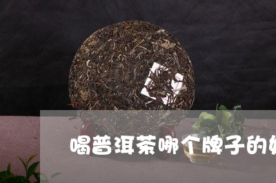 喝普洱茶哪个牌子的好/2023062378693