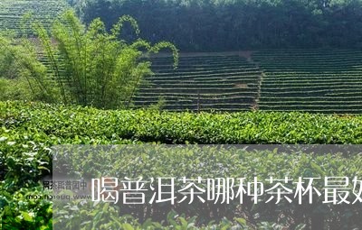 喝普洱茶哪种茶杯最好/2023080280681