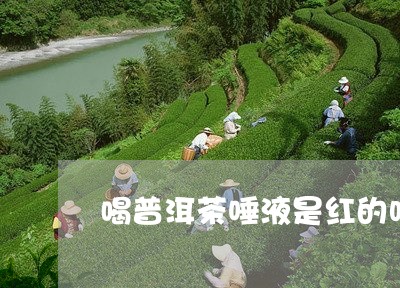 喝普洱茶唾液是红的吗/2023092779594