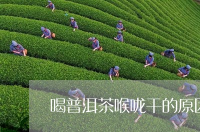 喝普洱茶喉咙干的原因/2023093008373