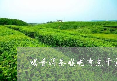 喝普洱茶喉咙有点干涩/2023062421804