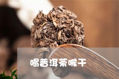 喝普洱茶喉干/2023042957783