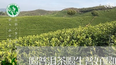 喝普洱茶喝生普好喝吗/2023072260705