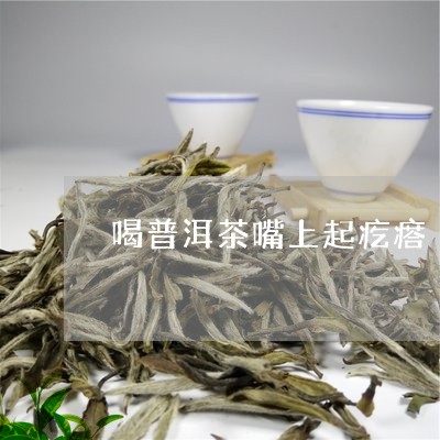 喝普洱茶嘴上起疙瘩/2023112640494