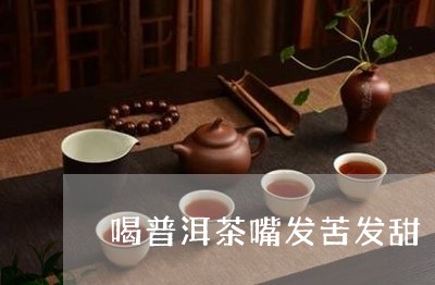 喝普洱茶嘴发苦发甜/2023082941624