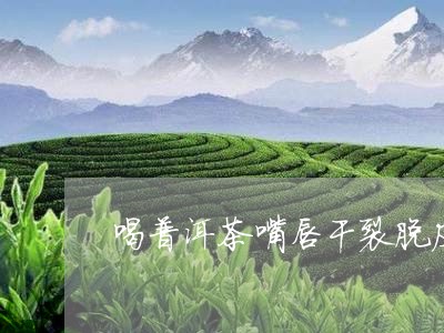 喝普洱茶嘴唇干裂脱皮/2023080106069