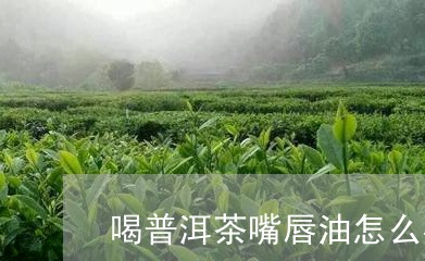 喝普洱茶嘴唇油怎么办/2023092833936