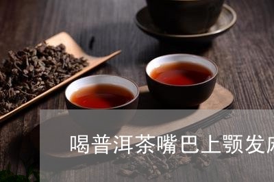 喝普洱茶嘴巴上颚发麻/2023100647273