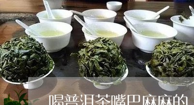 喝普洱茶嘴巴麻麻的/2023091537158