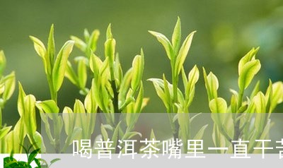 喝普洱茶嘴里一直干苦/2023092750826