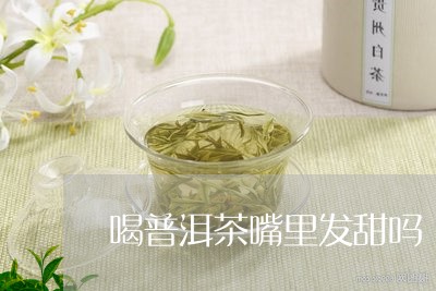 喝普洱茶嘴里发甜吗/2023071003048